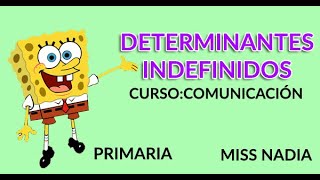 QUE SON LOS DETERMINANTES INDEFINIDOS  MiAulaCreativa  Primaria [upl. by Gambrell]