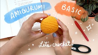 Amigurumi Basics for Beginners Amigurumi 101  Amigurumi Tutorial [upl. by Ayotnahs]