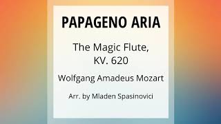 Papageno Aria harp orchestra  Wolfgang Amadeus Mozart [upl. by Dnomra163]