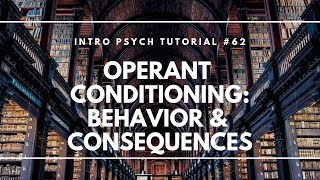 Operant Conditioning Behavior amp Consequences Intro Psych Tutorial 62 [upl. by Yaf]