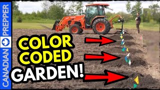 Building a Color Coded Apocalypse Garden Syntroptic Food Forest [upl. by Ylreveb175]