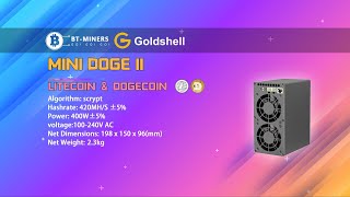 Goldshell MINI DOGE II DOGE amp LTC Miner Setup [upl. by Leda]