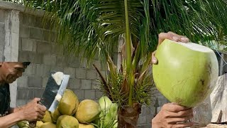 super cutting coconut Fresh coconut Cambodian street food [upl. by Ddat500]