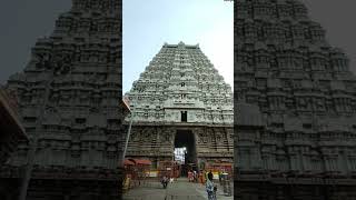 Tiruvannamalai temple raja gopuram shorts [upl. by Nytsud]