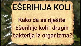 Kako da se riješite Ešerihije koli i drugih bakterija iz organizma [upl. by Zumwalt]