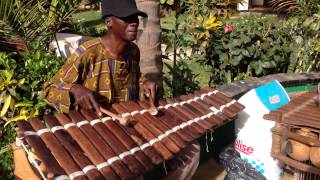 African Village Bakau playing the Balafon pitched idiophone [upl. by Manwell344]