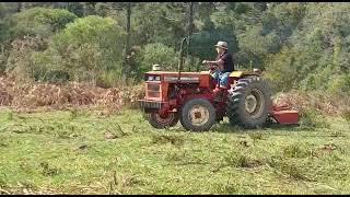 Agrale 4200 roçando campo aberto [upl. by Pietro]