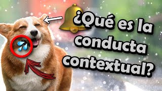 📕 LA FUNCIÓN CONTEXTUAL EN PSICOLOGÍA 🥘➡️🔔➡️🐺➡️💦 [upl. by Hanah254]