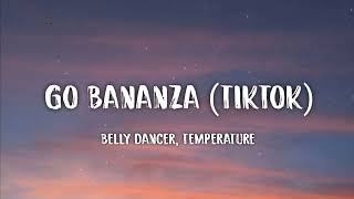 Bananza Belly Dancer x Neon Park TikTok Mashup Lyrics quotJust wanna see you touch the groundquot [upl. by Rie]