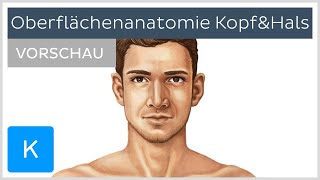 Oberflächenanatomie Kopf und Hals Vorschau  Kenhub [upl. by Olihs206]