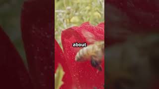 5 MindBlowing Facts Part 116 Bees [upl. by Liederman693]