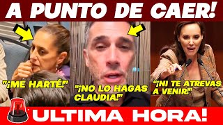 🚨JUEVES NEGRO SE CAE SE CAE NUEVA LILLY TELLEZ RUEGA A CLAUDIA SE LE VA TODO DE LAS MANOS [upl. by Kentigerma]