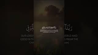 Recitation of Quran quran surah ayat arrahman yaseen baqarah koran recitation القران [upl. by Washington635]