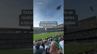 ¡Por una buena causa Lluvia de peluches en el duelo entre Real Betis y Real Madrid shorts [upl. by Fulbright]