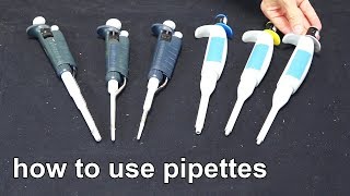 How to Use Micropipettes  Techniques Demonstration [upl. by Ecyor]