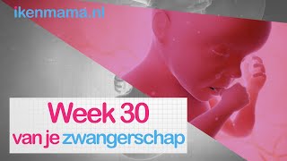 30 weken zwanger  ikenmamanl [upl. by Annonyw355]