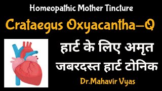 Crataegus OxyacanthaQ  Homeopathic Mother Tincture  DrMahavir Vyas [upl. by Ala]