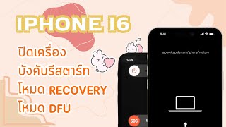 iPhone 1616 Plus16 Pro16 Pro Max วิธีปิดเครื่อง บังคับรีสตาร์ท โหมดการกู้คืน โหมด DFU [upl. by Amalie345]