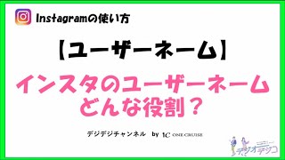 【インスタの使い方】インスタグラムのユーザーネームはどんな役割？ [upl. by Nehcterg868]