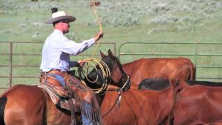 Padlock Ranch Horses [upl. by Dorrie]