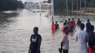 Flood Takes Over Shehu Of Borno’s Palace Displaces Residents In Borno State [upl. by Clyde]