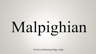 How To Say Malpighian [upl. by Darrelle]