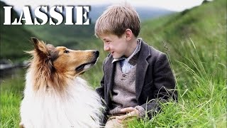 Lassie pelicula completa en español latino [upl. by Joliet]