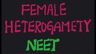 Female heterogamety NEET [upl. by Gearhart]