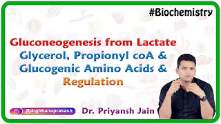 Gluconeogenesis from lactate glycerol propionyl coA and glucogenic amino acids and Regulation [upl. by Irtimed]