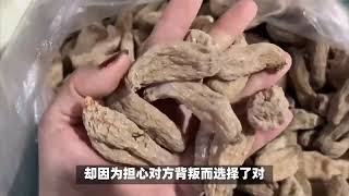 农村天麻种植，老王老张陷困境！背叛损失 12 万，值得吗？ [upl. by Irrab]