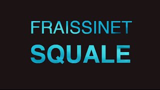 Nicolas FRAiSSiNET  SQUALE  Live [upl. by Ydnor461]