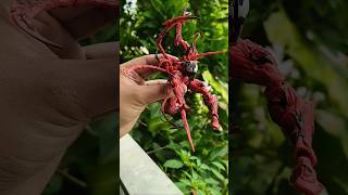 Amazing Yamaguchi Revoltech Carnage KO bootleg amazingyamaguchi carnage actionfigures [upl. by Enale]