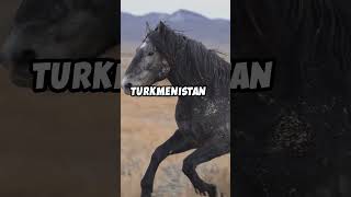 5 Crazy Facts About Turkmenistan [upl. by Chiquita]