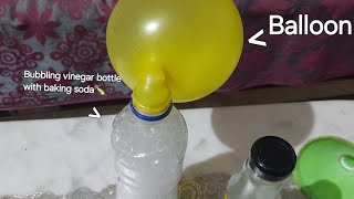 Vinegar and baking soda balloon experiment [upl. by Reidid233]