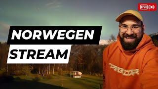 Norwegen LIVE Special Stream im Wohnzimmer 🇳🇴🙌 [upl. by Tripp]