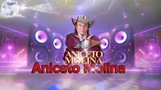 Aniceto Molina Mix [upl. by Atinit900]