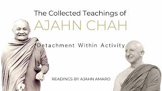 The Collected Teachings of Ajahn Chah  Chapter 26  Detachment Within Activity [upl. by Ekaj584]