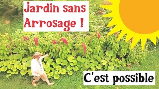 Un potager sans arrosage cest possible [upl. by Viveca]