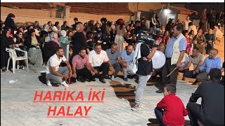 HARİKA İKİ HALAY AŞAĞIPİRİBEYLİ EMİRDAĞ AFYON TÜRKİYE [upl. by Mort]