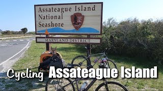 Cycling Assateague Island [upl. by Eisyak]