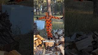 What is it woodchopping axe ootd jumpsuit help shorts woodsplitting funny [upl. by Aligna]