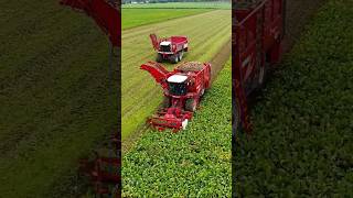 Vervaet Agrifac 😎😎 agriculture farming tractor landwirtschaft agro FlyingPixelsPhotography [upl. by Aseek]