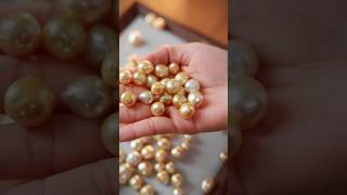 Discover the Radiance of South Sea Golden Pearls in 10 Seconds [upl. by Georgianne]