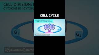 Cell cycleMitosisMeiosisBiology yt shortsfeed bio why fy youtuber [upl. by Akemahc]