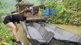 Full video about nature and rural life build a farm triệu lily [upl. by Carnahan]