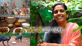 A Day in My Life  Minis Lifestyle [upl. by Nitsreik]