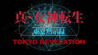 Battle  SMT Tokyo Revelation OVA [upl. by Nanci]