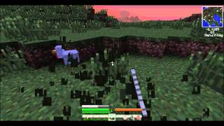 Minecraft Mod Bone Tools and Armor  Wither bones [upl. by Nywroc]