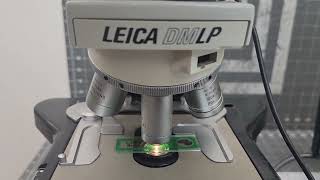 Leica DMLP Polarizing Light Microscope W EC3 High Speed Digital Camera 5X 10X 20X 40X 100X [upl. by Columba793]