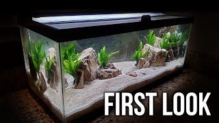 I Tried to Make a Brackish Tank Aquascape will it work [upl. by Enomal785]